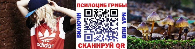 Псилоцибиновые грибы GOLDEN TEACHER  Купить где  Бакал 