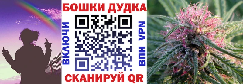 Канабис сатива Купить Бакал